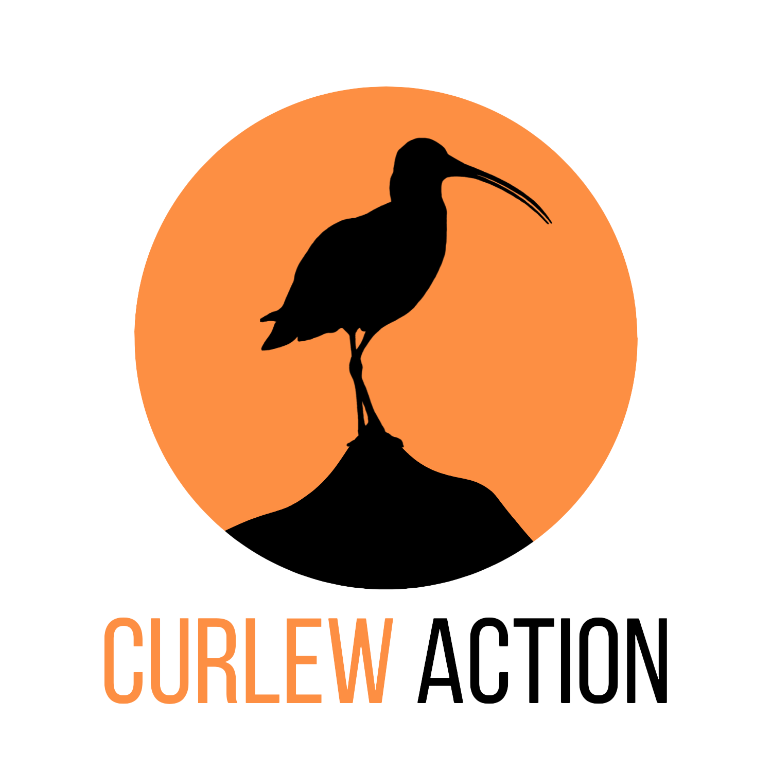 Curlew Action Logo