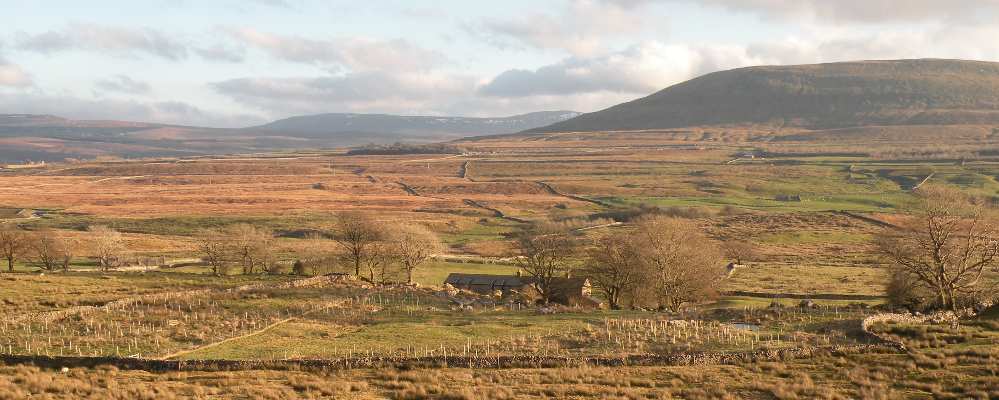 Broadrake, Park Fell and the shoulder of Pen-y-ghent