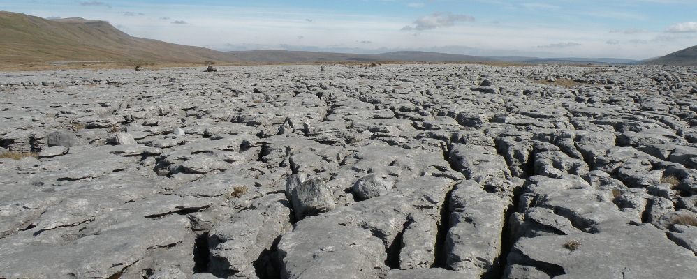 limestone pavement on Scales Moor