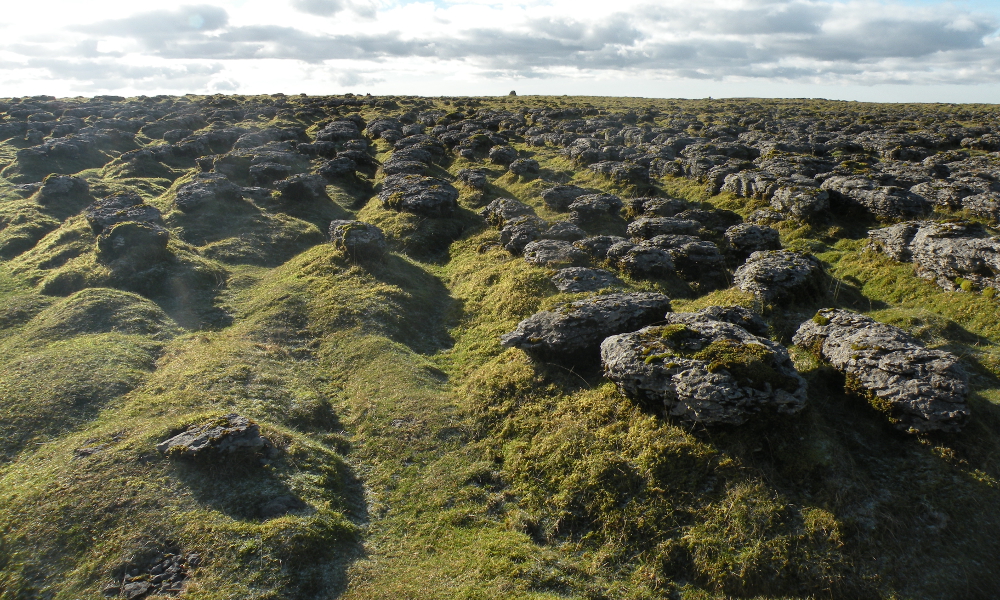 unusual limestone formation on Scales Moor