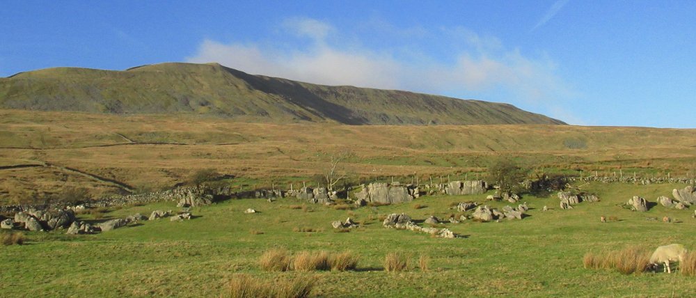 View of Whernside