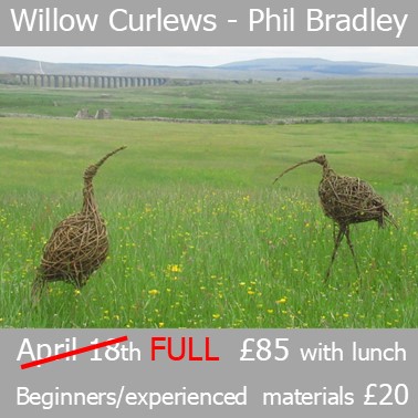 Willow Curlews